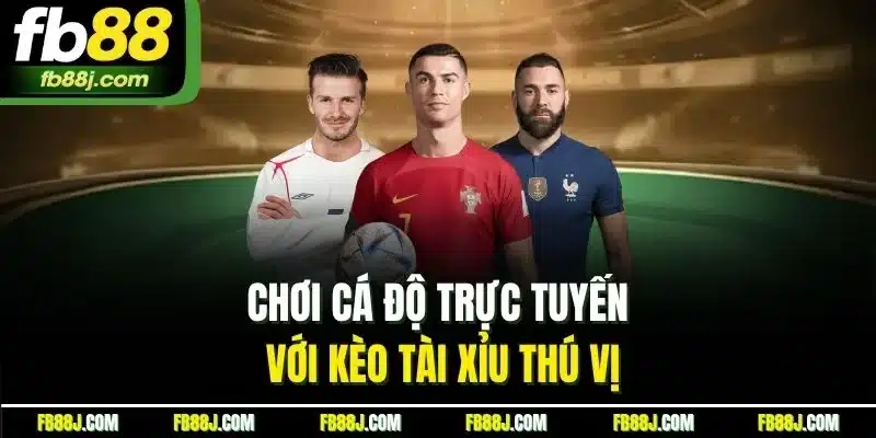 Chơi cá độ trực tuyến với kèo tài xỉu thú vị