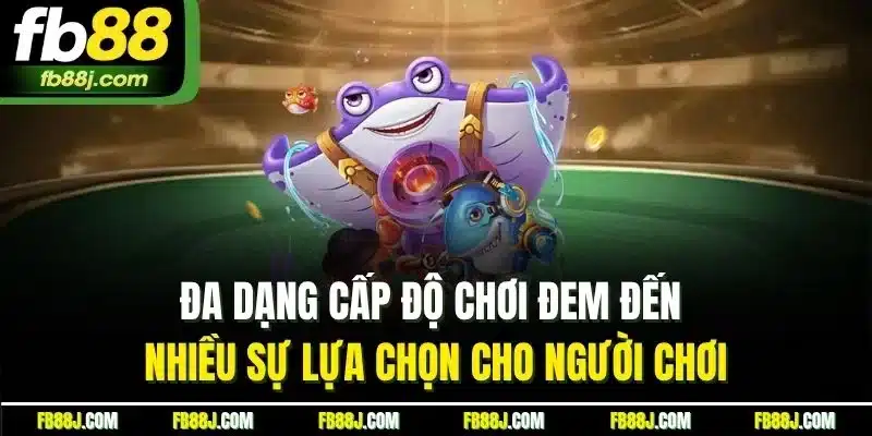 Đa dạng cấp độ chơi đem đến nhiều sự lựa chọn cho người chơi