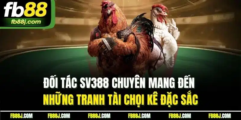 Đối tác SV388 chuyên mang đến những tranh tài chọi kê đặc sắc